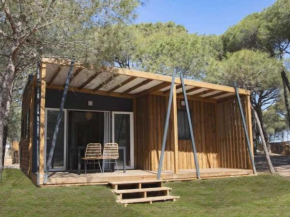 Chalet 4 étoiles - Piscine - cbgcb0g